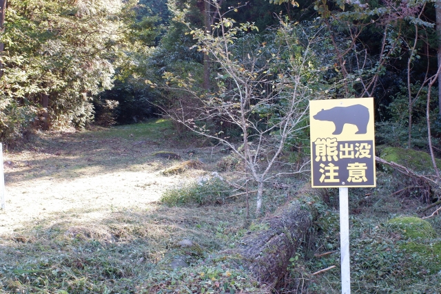 240806　秋田市のツキノワグマ対策（特に勝平地区）